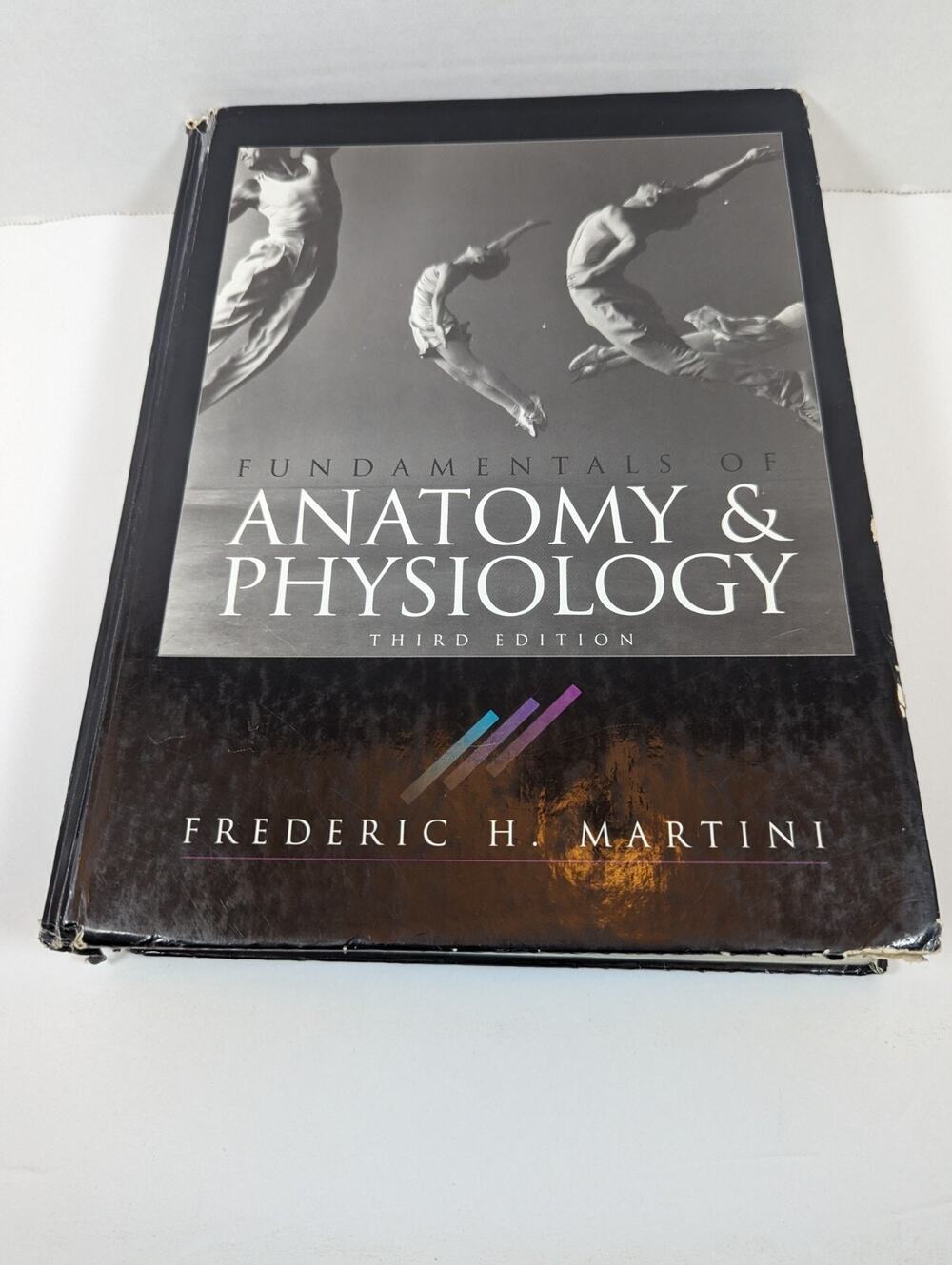 Fundamentals of Anatomy and Philsiology by Frederic H. Martini (1995, Hardcover)